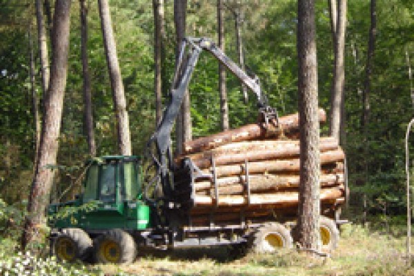 ACHAT DE FORÊTS